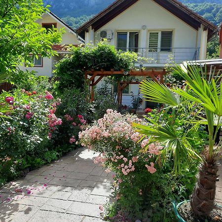 Pension Eden Băile Herculane Buitenkant foto