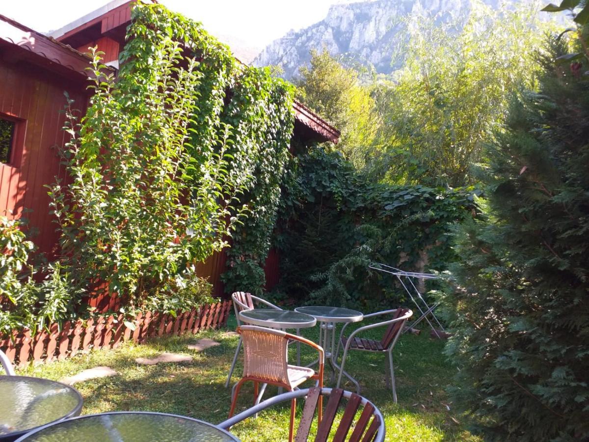 Pension Eden Băile Herculane Buitenkant foto