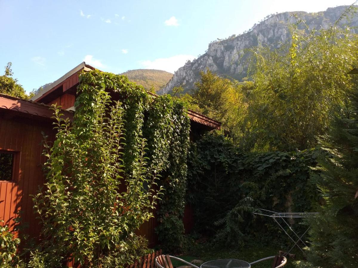 Pension Eden Băile Herculane Buitenkant foto