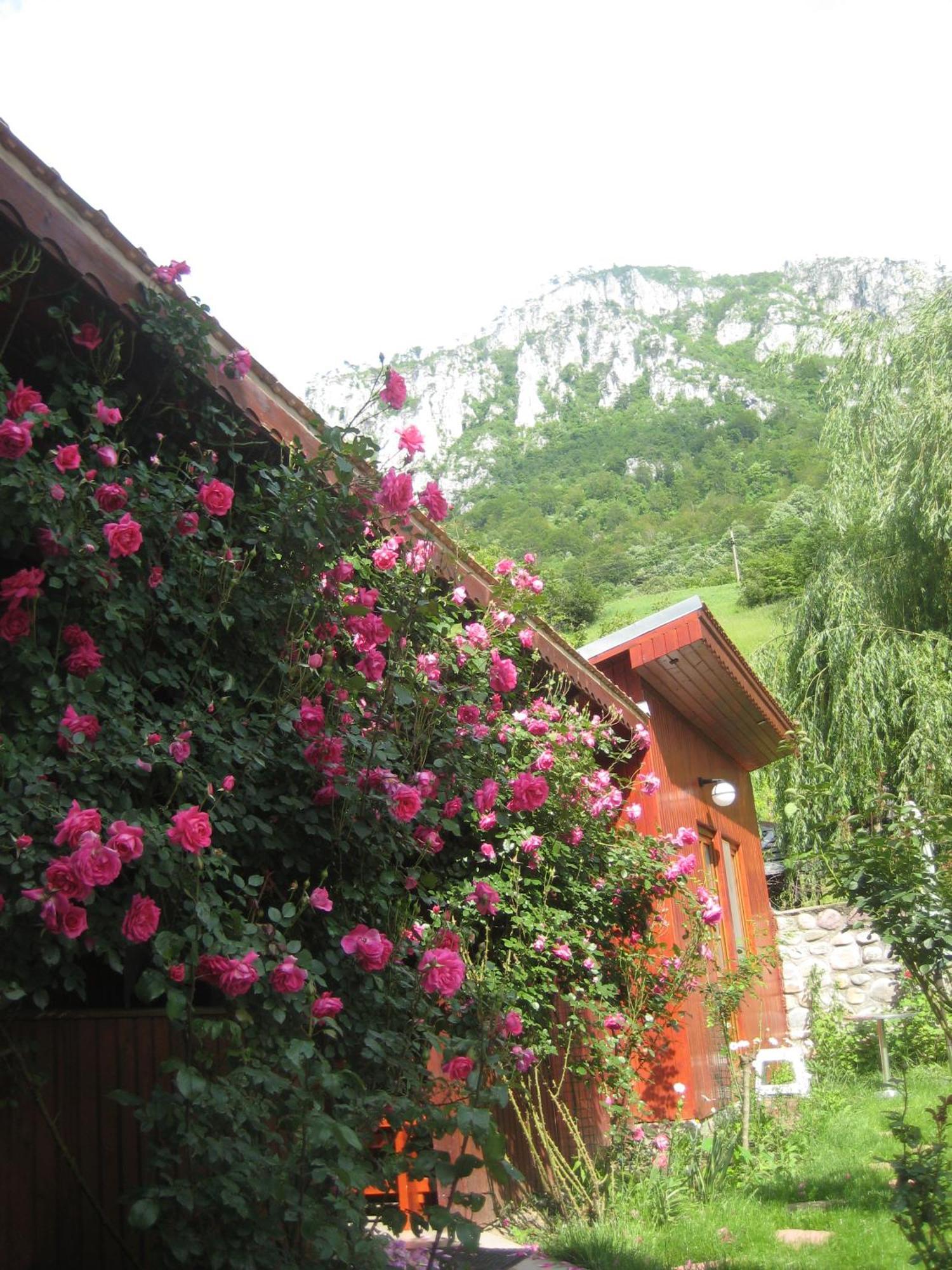 Pension Eden Băile Herculane Buitenkant foto