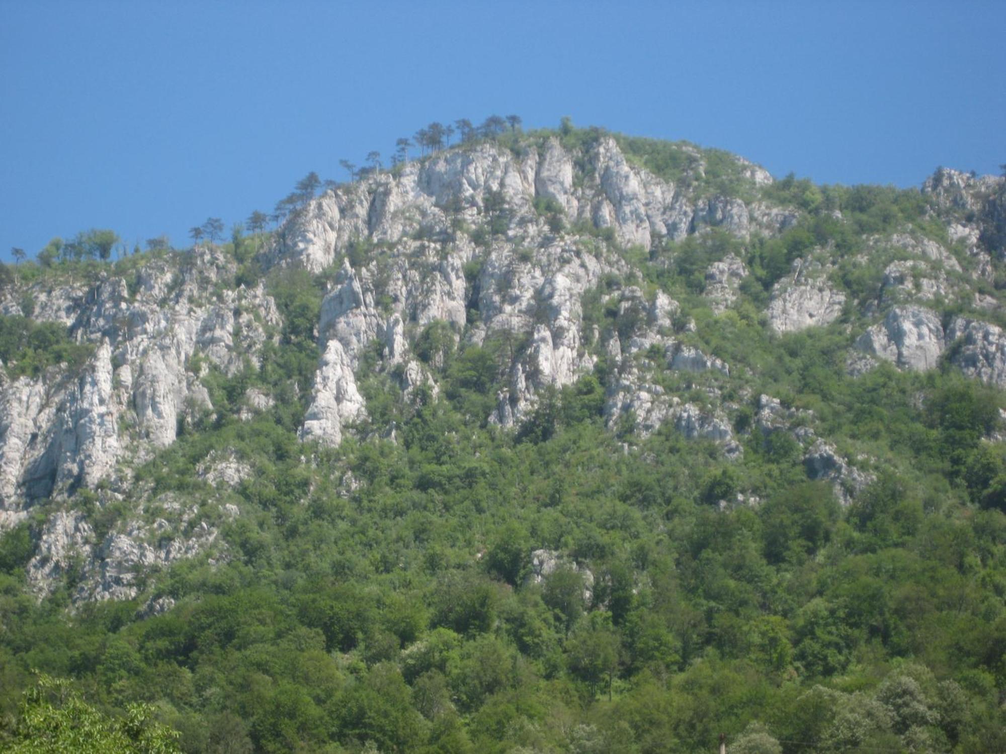 Pension Eden Băile Herculane Buitenkant foto
