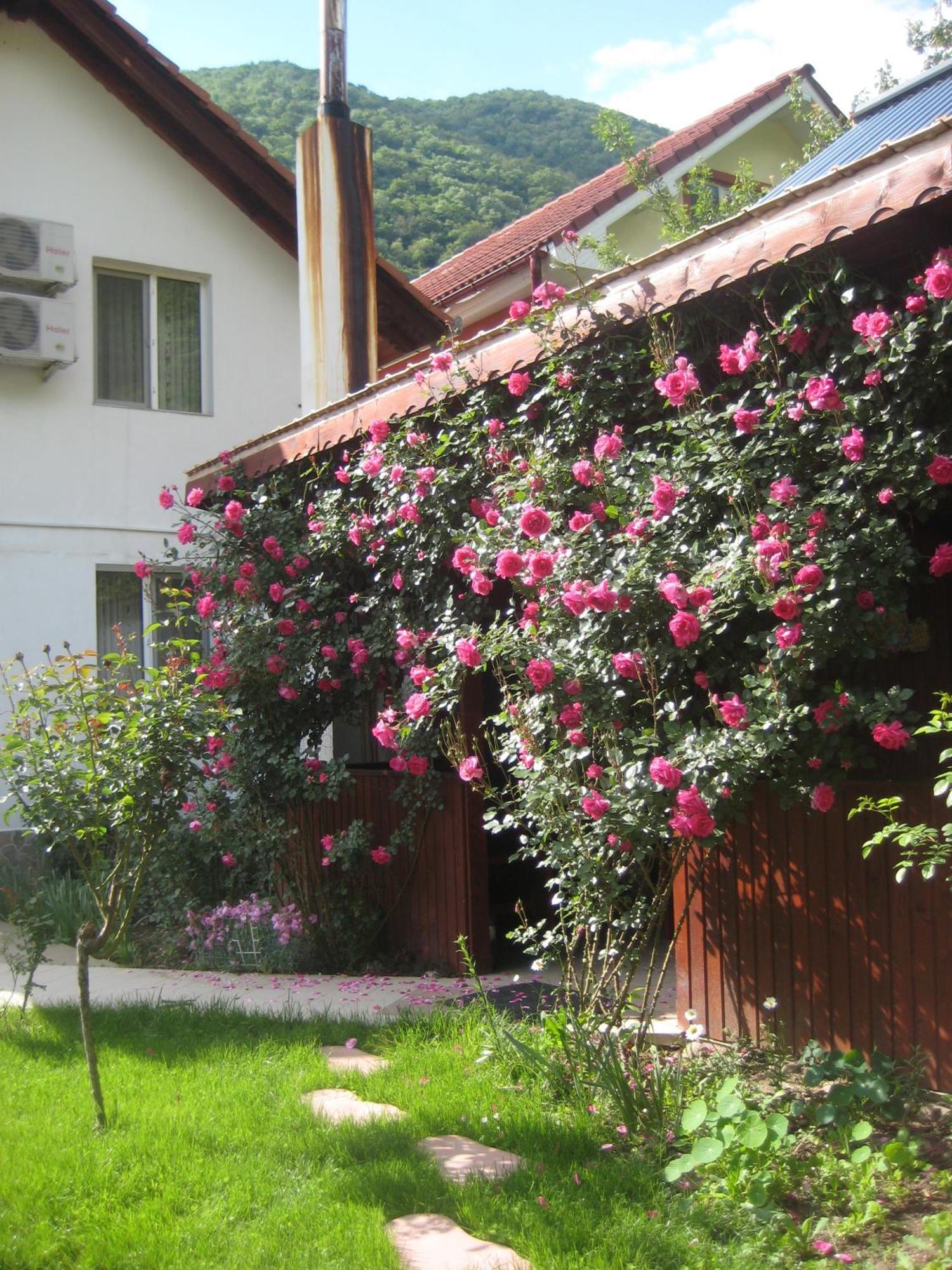 Pension Eden Băile Herculane Buitenkant foto
