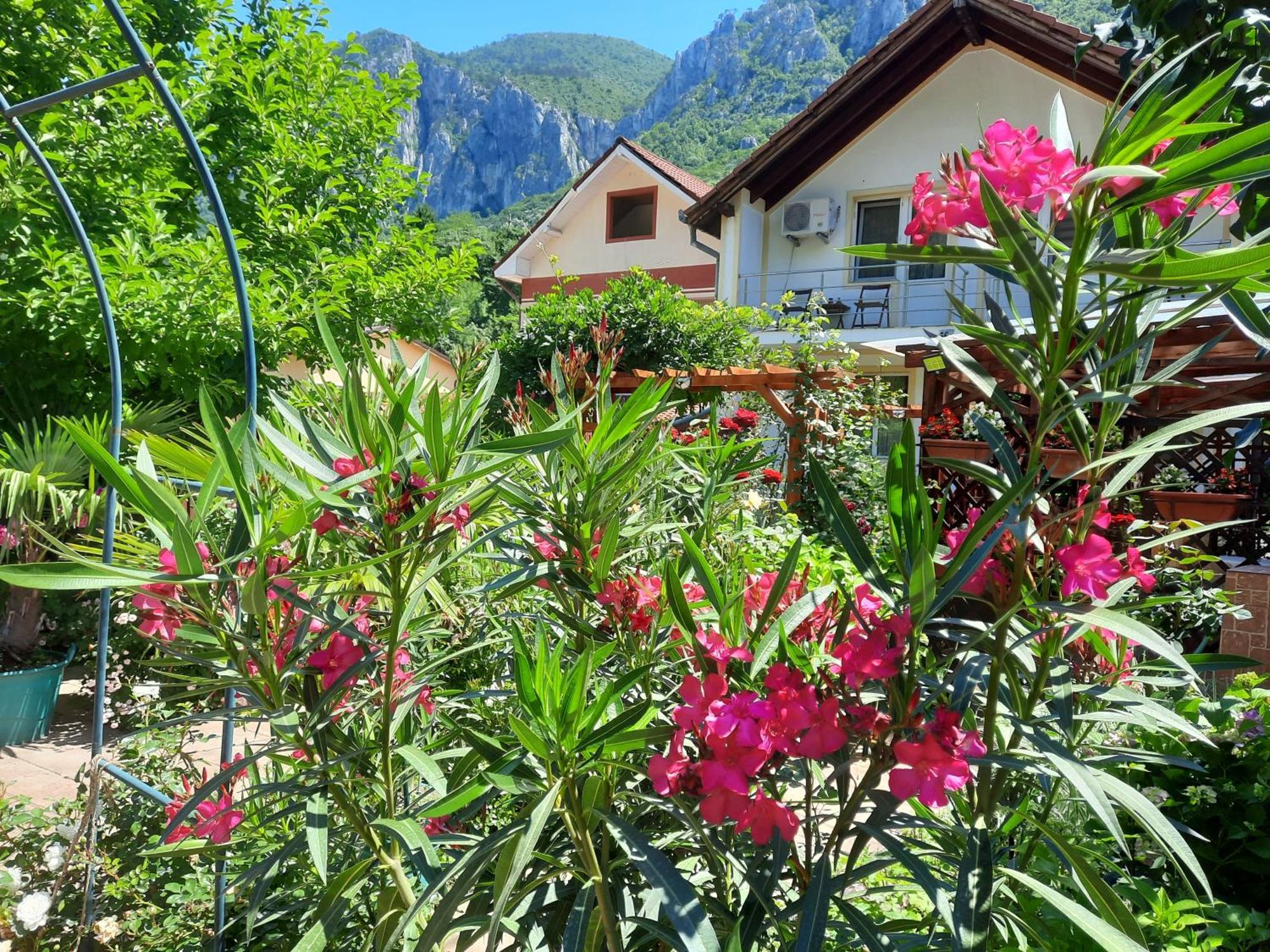 Pension Eden Băile Herculane Buitenkant foto