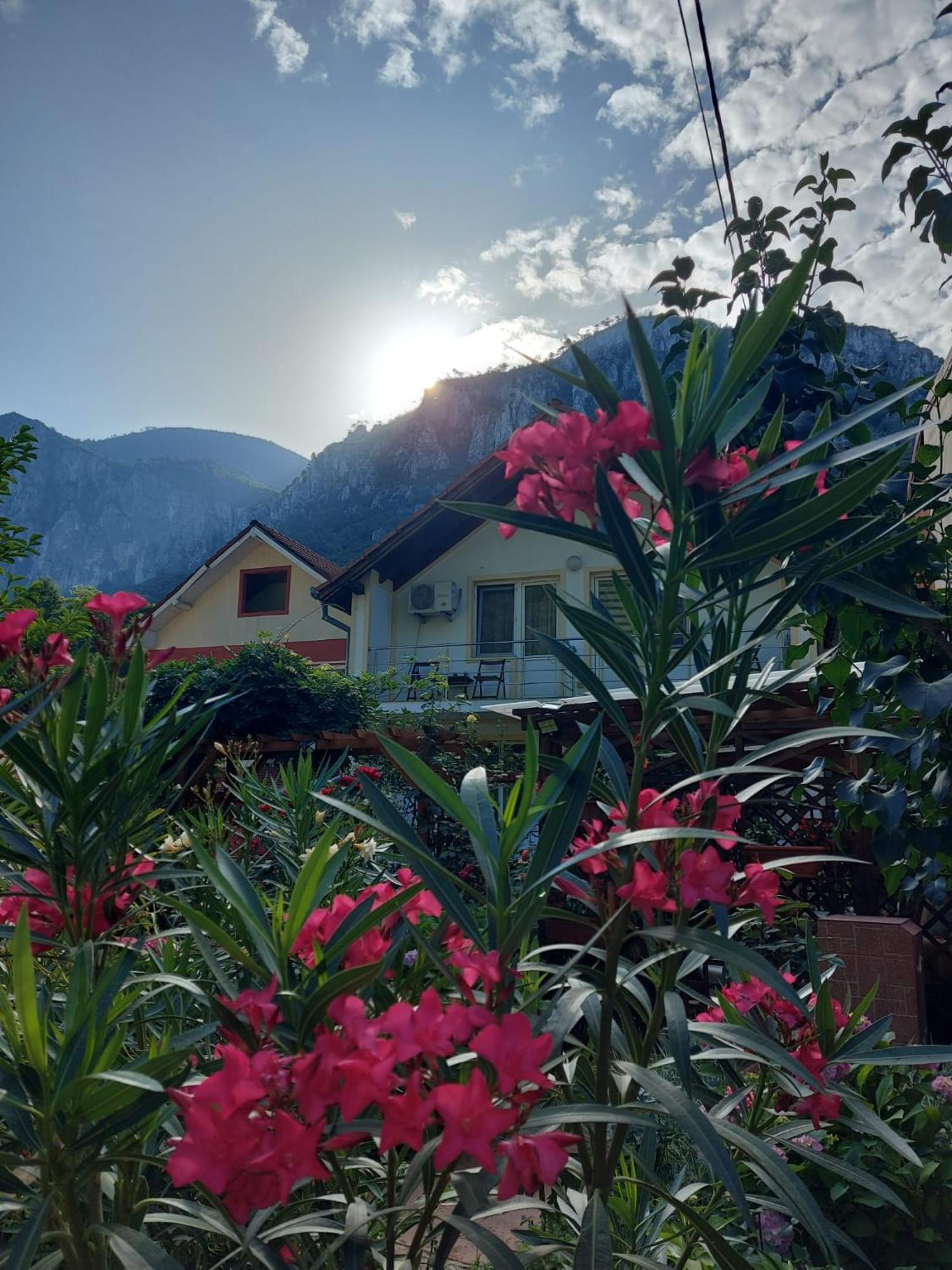 Pension Eden Băile Herculane Buitenkant foto