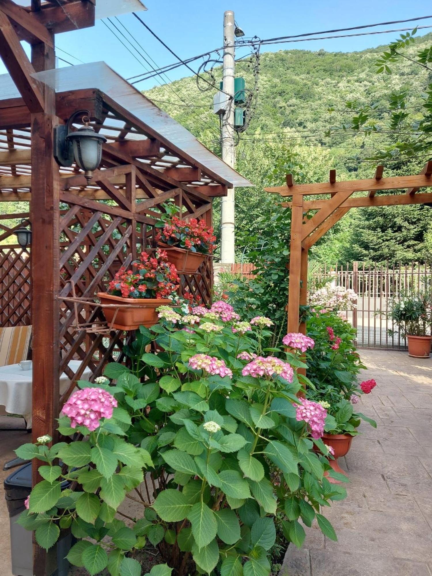 Pension Eden Băile Herculane Buitenkant foto