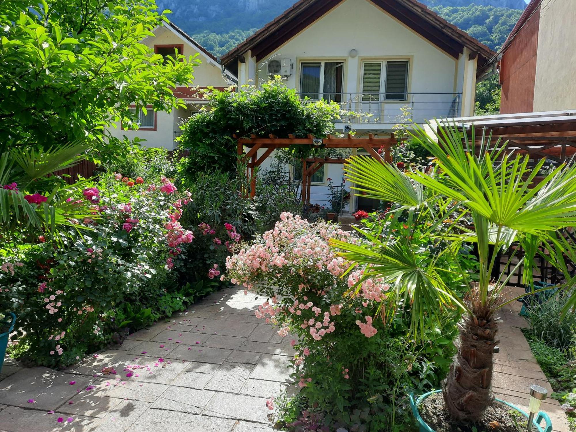 Pension Eden Băile Herculane Buitenkant foto