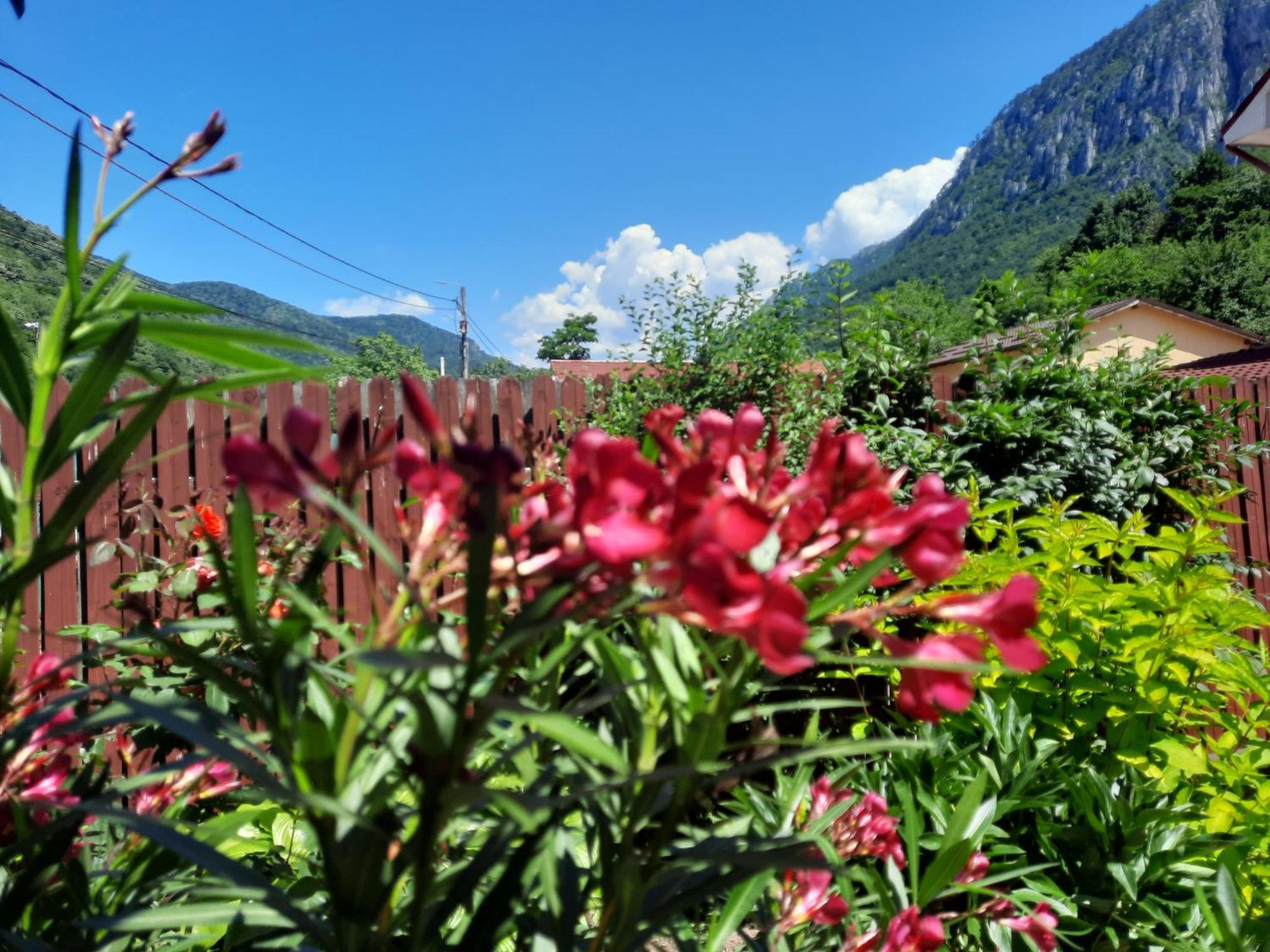 Pension Eden Băile Herculane Buitenkant foto